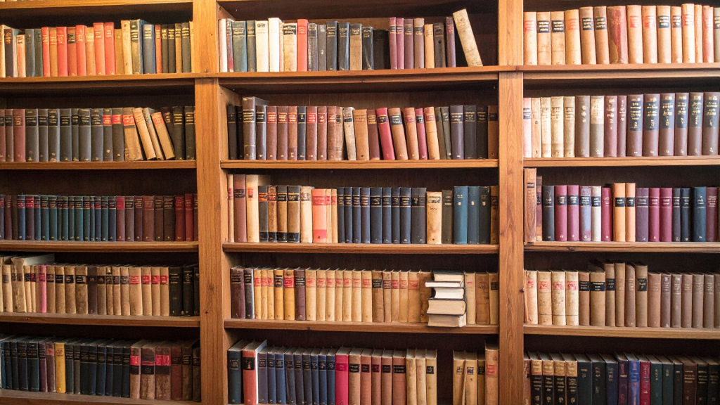 Une bonne copie de l’article d’aménagement cultivé normal AMEMAIN AMEMAIN AMEMAIN AMEMEMAIL (13.5.5 / 20)