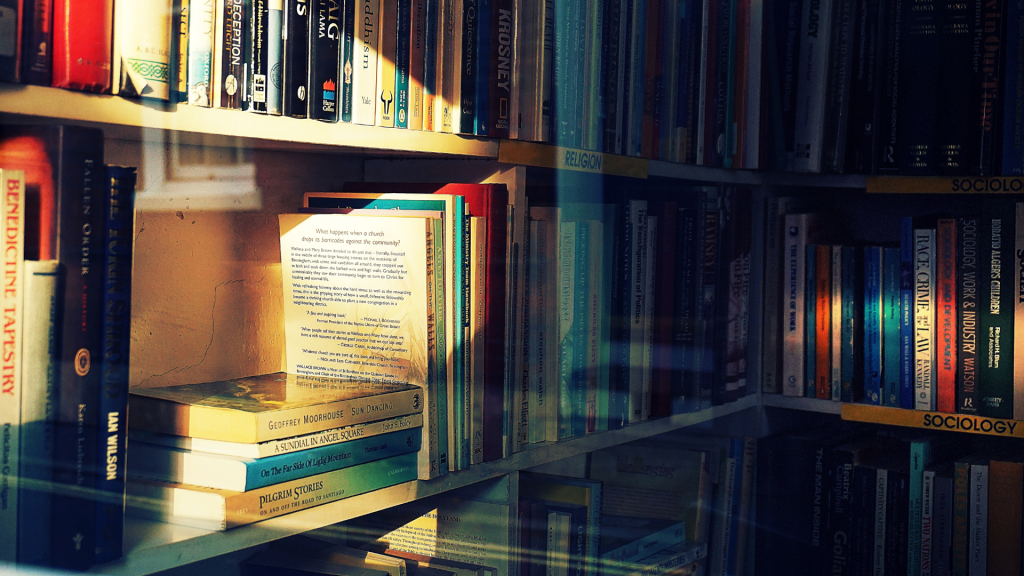 Bonne copie ass L.Leik 2025 – Mountain (18.4 / 20)