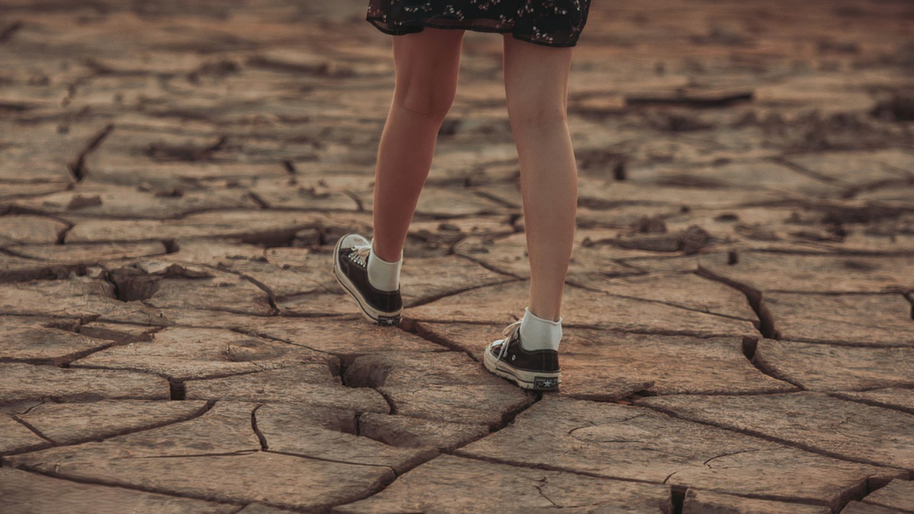 Vague de résumé, sécheresse, incendie … et économie: puzzle Medicagar