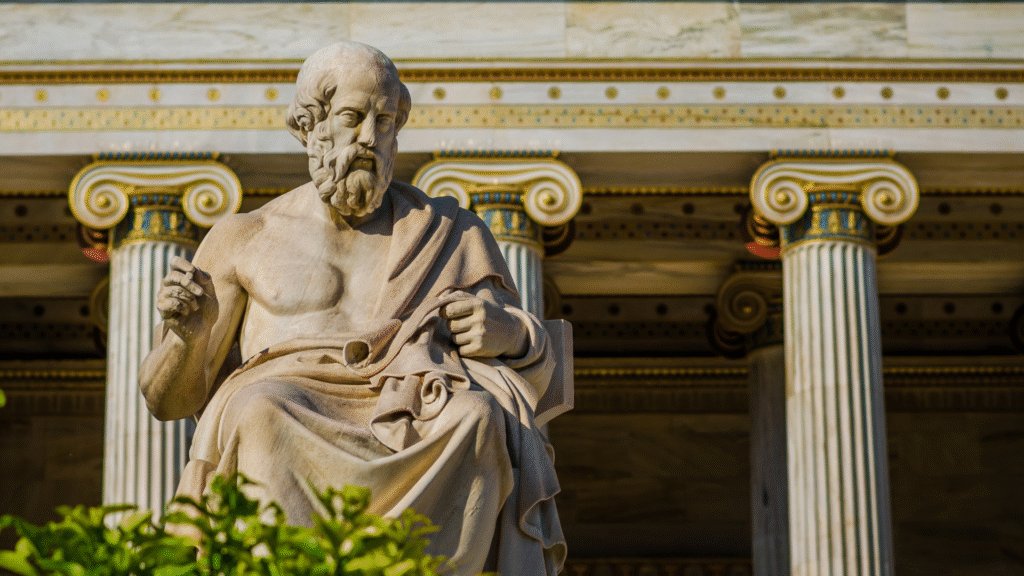 Sightness B / L 2024 – Une bonne copie de Copy Down (1/2)